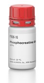 Phosphocreatine disodium salt hydrate ≥97%