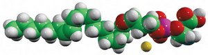 17:1 Lyso PS 1-(10Z-heptadecenoyl)-2-hydroxy-sn-glycero-3-[phospho-L-serine] (sodium salt), chloroform