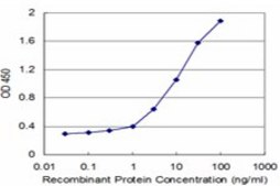 Monoclonal Anti-HAX1 antibody produced in mouse clone 1D2, purified immunoglobulin, buffered aqueous solution