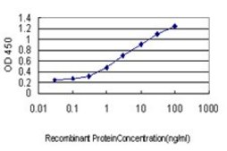 Monoclonal Anti-DCP1A antibody produced in mouse clone 3G4, purified immunoglobulin, buffered aqueous solution