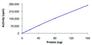 AKT1, active, GST tagged human PRECISIO® Kinase, recombinant, expressed in baculovirus infected Sf9 cells, ≥70% (SDS-PAGE), buffered aqueous glycerol solution
