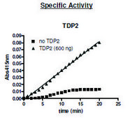 TDP2 active human recombinant, expressed in baculovirus infected Sf9 cells, ≥87% (SDS-PAGE)