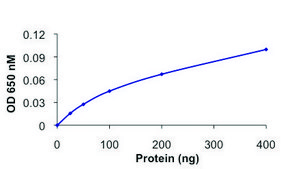 PP1A, active, GST tagged human recombinant, expressed in baculovirus infected Sf9 cells, ≥70% (SDS-PAGE), buffered aqueous glycerol solution