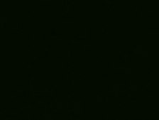 Bacterial negative control FISH probe - ATTO488 Probe for fluorescence in situ hybridization (FISH),20 μM in water