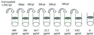 小鼠 IL-6 ELISA 试剂盒 for cell and tissue lysates