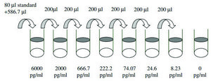 人类 CD40L ELISA 试剂盒 for serum, plasma, cell culture supernatant and urine