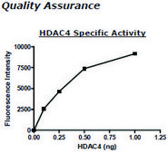 HDAC-4 human recombinant, expressed in baculovirus infected insect cells, ≥50% (SDS-PAGE)