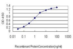 Monoclonal Anti-MCPH1 antibody produced in mouse clone 5C9, purified immunoglobulin, buffered aqueous solution