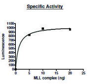 MLL1/WDR5/Ash2L/RbBP5/DPY30 human recombinant, expressed in E. coli, ≥83% (SDS-PAGE)