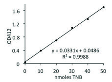 Lipase Activity Assay Kit II sufficient for 100 colorimetric&nbsp;tests (with&nbsp;TNB&nbsp;standard)