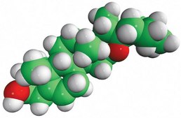 diosgenin Avanti Research™ - A Croda Brand