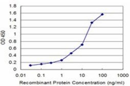 Monoclonal Anti-VCL antibody produced in mouse clone 3F8-1D4, purified immunoglobulin, buffered aqueous solution