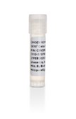 CHOZN® Elite Cell Line ELITE