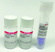 LuminoCt® qPCR ReadyMix™ For fast probe-based quantitative PCR