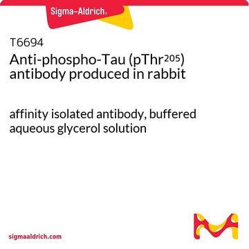 Anti-phospho-Tau (pThr205) antibody produced in rabbit affinity isolated antibody, buffered aqueous glycerol solution
