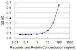 Monoclonal Anti-PPP2R1A antibody produced in mouse clone 4E6, purified immunoglobulin, buffered aqueous solution
