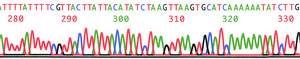 PhasePrep™ BAC DNA Kit Scalable method for isolating large-molecular weight plasmids