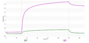 Anti-TCF7/TCF1 Antibody, clone 1H9 ZooMAb® Rabbit Monoclonal recombinant, expressed in HEK 293 cells