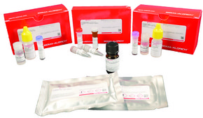 Duolink® In Situ Red Starter Kit Mouse/Goat