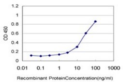 Monoclonal Anti-IL8 antibody produced in mouse clone 6G4, purified immunoglobulin, buffered aqueous solution