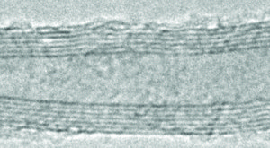 Carbon nanotube, multi-walled >98% carbon basis, O.D. × L 6-13 nm × 2.5-20 μm
