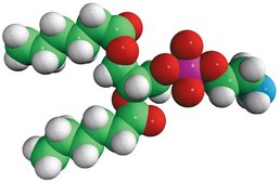 06:0 PE 1,2-dihexanoyl-sn-glycero-3-phosphoethanolamine, powder
