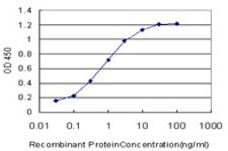 Monoclonal Anti-CHRM2 antibody produced in mouse clone 4B5, purified immunoglobulin, buffered aqueous solution