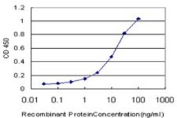 Monoclonal Anti-UCP1 antibody produced in mouse clone 4E5, purified immunoglobulin, buffered aqueous solution