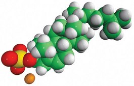 cholesterol sulfate Avanti Research™ - A Croda Brand