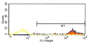 Monoclonal Anti-HLA Class I Antigen antibody produced in mouse clone W6/32, purified immunoglobulin, buffered aqueous solution