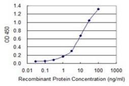 Monoclonal Anti-HRH1 antibody produced in mouse clone 3D1, purified immunoglobulin, buffered aqueous solution