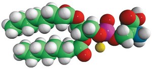 08:0 PS 1,2-dioctanoyl-sn-glycero-3-phospho-L-serine (sodium salt), powder