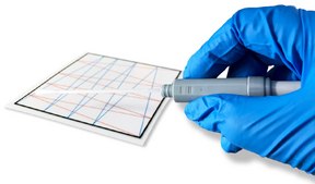 FLASH®过敏原指示蛋白试验 BioControl, Rapid Protein Detection for HACCP Management