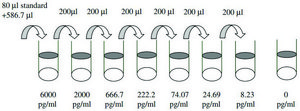 人类 BMP-4 ELISA 试剂盒 for serum, plasma, cell culture supernatant and urine