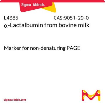α-Lactalbumin from bovine milk Marker for non-denaturing PAGE