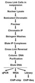 Imprint® Ultra Chromatin Immunoprecipitation Kit, Without Controls ChIP kit for maximum sensitivity, compatible with Next-Gen sequencing