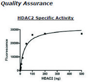 HDAC2 FLAG tag human recombinant, expressed in baculovirus infected insect cells, ≥50% (SDS-PAGE)