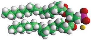 18:1 PA Avanti Research™ - A Croda Brand