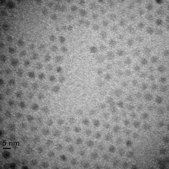 Iron oxide(II,III), magnetic nanoparticles solution 5 nm avg. part. size (TEM), PEG functionalized, 1 mg/mL Fe in H2O, dispersion