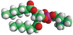 07:0 PC (DHPC) Avanti Research™ - A Croda Brand