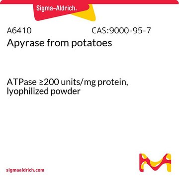三磷酸腺苷双磷酸酶 来源于马铃薯 ATPase ≥200 units/mg protein, lyophilized powder