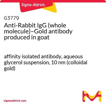 抗兔 IgG（全分子）-金 山羊抗 affinity isolated antibody, aqueous glycerol suspension, 10 nm (colloidal gold)