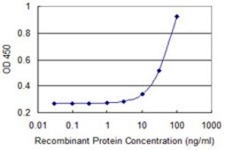 Monoclonal Anti-LATS1 antibody produced in mouse clone 3A7, purified immunoglobulin, buffered aqueous solution