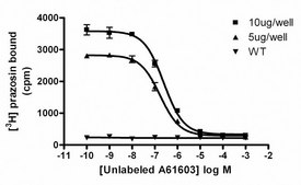 ChemiScreen Recombinant HumanMembrane Preparation α1A Adrenergic Receptor Human alpha1A GPCR membrane preparation for Radioligand binding Assays &amp; GTPγS binding.