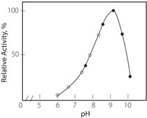 Protocatechuate 3,4-Dioxygenase from Pseudomonas sp. lyophilized powder, ≥3 units/mg solid