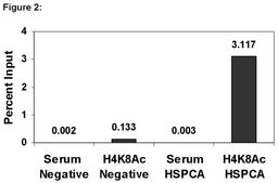 ChIPAb+ Acetyl-Histone H4 (Lys8) - ChIP Validated Antibody and Primer Set serum, from rabbit