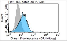 Anti-Integrin β4 Antibody, clone ASC-8 clone ASC-8, Chemicon®, from mouse