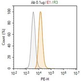 Anti-IL-12A Antibody, clone 1G10 ZooMAb® Rabbit Monoclonal recombinant, expressed in HEK 293 cells