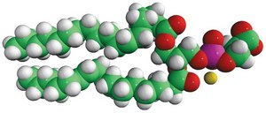 18:0-18:2 PS 1-stearoyl-2-linoleoyl-sn-glycero-3-phospho-L-serine (sodium salt), powder