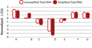 TransPlex® Whole Transcriptome Amplification Kit DNA polymerase separate.